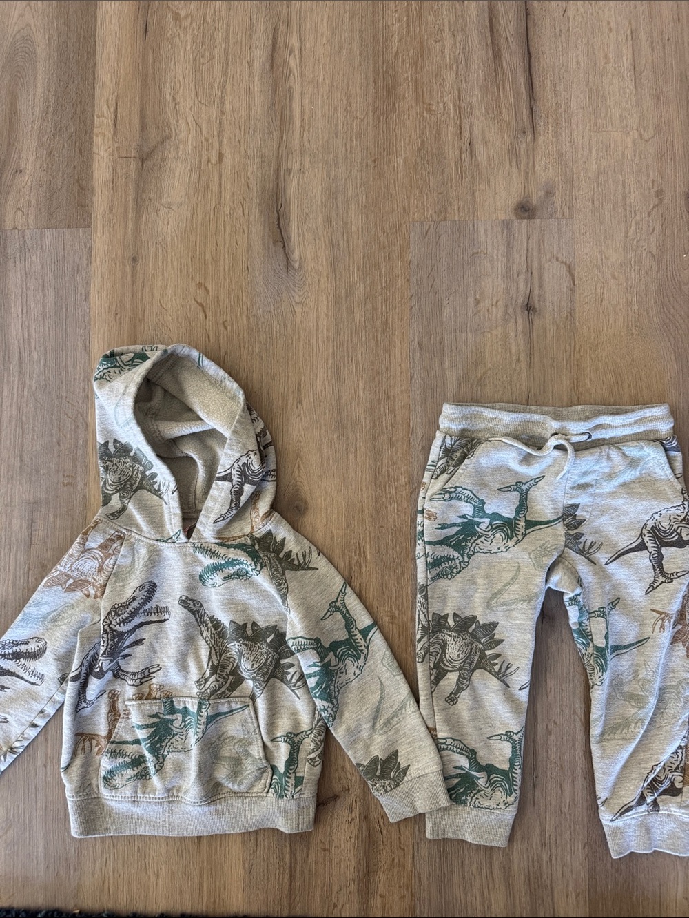 Kids Dino Print Hoodie & Jogger Set - Gray